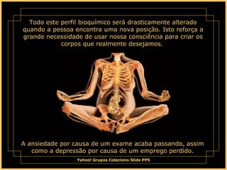 Todo este perfil bioquímico será drasticamente alterado quando a pessoa encontra uma nova posição. Isto reforça a grande necessidade de usar nossa consciência para criar os corpos que realmente desejamos.  A ansiedade por causa de um exame acaba passando, assim como a depressão por causa de um emprego perdido. 