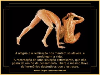 A alegria e a realização nos mantém saudáveis  e prolongam a vida. A recordação de uma situação estressante, que não passa de um fio de pensamento, libera o mesmo fluxo de hormônios destrutivos que o estresse. 