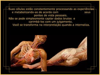 Suas células estão constantemente processando as experiências e metabolizando-as de acordo com  seus pontos de vista pessoais.  Não se pode simplesmente captar dados brutos  e  carimbá-los com um julgamento.  Você se transforma na interpretação quando a internaliza. 