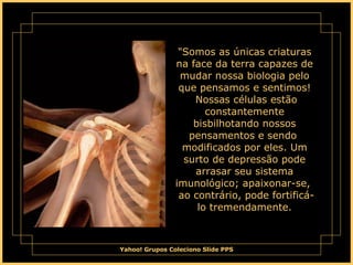 "Somos as únicas criaturas na face da terra capazes de mudar nossa biologia pelo que pensamos e sentimos!  Nossas células estão constantemente bisbilhotando nossos pensamentos e sendo  modificados por eles. Um surto de depressão pode arrasar seu sistema imunológico; apaixonar-se,  ao contrário, pode fortificá-lo tremendamente. 