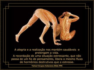 A alegria e a realização nos mantém saudáveis e
                  prolongam a vida.
 A recordação de uma situação estressante, que não
passa de um fio de pensamento, libera o mesmo fluxo
      de hormônios destrutivos que o estresse.
              Yahoo! Grupos Coleciono Slide PPS
 