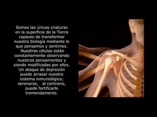 Somos las únicas criaturas en la superficie de la Tierra capaces de transformar nuestra biología mediante lo que pensamos y sentimos.  Nuestras células están constantemente observando nuestros pensamientos y siendo modificadas por ellos. Un ataque de depresión puede arrasar nuestro sistema inmunológico; serenarse,  al contrario, puede fortificarlo tremendamente. 
