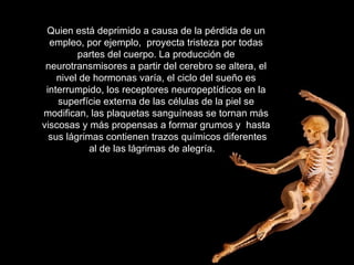 Quien está deprimido a causa de la pérdida de un empleo, por ejemplo,  proyecta tristeza por todas partes del cuerpo. La producción de neurotransmisores a partir del cerebro se altera, el nivel de hormonas varía, el ciclo del sueño es interrumpido, los receptores neuropeptídicos en la superfície externa de las células de la piel se modifican, las plaquetas sanguíneas se tornan más viscosas y más propensas a formar grumos y  hasta  sus lágrimas contienen trazos químicos diferentes al de las lágrimas de alegría.      