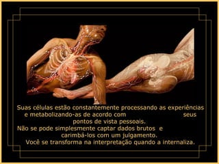 Suas células estão constantemente processando as experiências e metabolizando-as de acordo com  seus pontos de vista pessoais.  Não se pode simplesmente captar dados brutos  e  carimbá-los com um julgamento.  Você se transforma na interpretação quando a internaliza. 