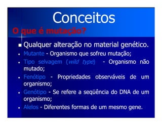 O que é mutação?O que é mutação?
QualquerQualquer alteraçãoalteração nono materialmaterial genéticogenético..
•• MutanteMutante -- OrganismoOrganismo queque sofreusofreu mutaçãomutação;;
•• TipoTipo selvagemselvagem ((wildwild typetype)) -- OrganismoOrganismo nãonão
Conceitos
•• TipoTipo selvagemselvagem ((wildwild typetype)) -- OrganismoOrganismo nãonão
mutadomutado;;
•• FenótipoFenótipo -- PropriedadesPropriedades observáveisobserváveis dede umum
organismoorganismo;;
•• GenótipoGenótipo -- SeSe refererefere aa seqüênciaseqüência dodo DNADNA dede umum
organismoorganismo;;
•• AlelosAlelos -- DiferentesDiferentes formasformas dede umum mesmomesmo genegene..
 
