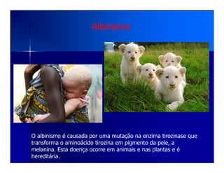 Albinismo
O albinismo é causada por uma mutação na enzima tirozinase que
transforma o aminoácido tirozina em pigmento da pele, a
melanina. Esta doença ocorre em animais e nas plantas e é
hereditária.
 