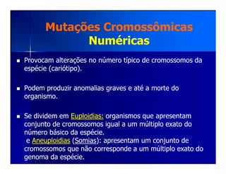 Mutações CromossômicasMutações Cromossômicas
NuméricasNuméricas
Provocam alterações no número típico de cromossomos daProvocam alterações no número típico de cromossomos da
espécie (cariótipo).espécie (cariótipo).
Podem produzir anomalias graves e até a morte doPodem produzir anomalias graves e até a morte doPodem produzir anomalias graves e até a morte doPodem produzir anomalias graves e até a morte do
organismo.organismo.
Se dividem emSe dividem em EuploidiasEuploidias:: organismos que apresentamorganismos que apresentam
conjunto de cromossomos igual a um múltiplo exato doconjunto de cromossomos igual a um múltiplo exato do
número básico da espécie.número básico da espécie.
ee AneuploidiasAneuploidias ((SomiasSomias): apresentam um conjunto de): apresentam um conjunto de
cromossomos que não corresponde a um múltiplo exato docromossomos que não corresponde a um múltiplo exato do
genoma da espécie.genoma da espécie.
 