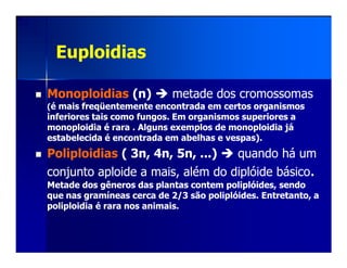 EuploidiasEuploidias
MonoploidiasMonoploidias (n)(n) metade dos cromossomasmetade dos cromossomas
((é mais freqüentemente encontrada em certos organismosé mais freqüentemente encontrada em certos organismos
inferiores tais como fungos. Em organismos superiores ainferiores tais como fungos. Em organismos superiores a
monoploidiamonoploidia é rara . Alguns exemplos deé rara . Alguns exemplos de monoploidiamonoploidia jájá
estabelecida é encontrada em abelhas e vespas).estabelecida é encontrada em abelhas e vespas).estabelecida é encontrada em abelhas e vespas).estabelecida é encontrada em abelhas e vespas).
PoliploidiasPoliploidias ( 3n, 4n, 5n, ...)( 3n, 4n, 5n, ...) quando há umquando há um
conjuntoconjunto aploideaploide a mais, além do diplóide básicoa mais, além do diplóide básico..
Metade dos gêneros das plantas contem poliplóides, sendoMetade dos gêneros das plantas contem poliplóides, sendo
que nas gramíneas cerca de 2/3 são poliplóides. Entretanto, aque nas gramíneas cerca de 2/3 são poliplóides. Entretanto, a
poliploidiapoliploidia é rara nos animais.é rara nos animais.
 