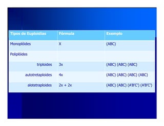 Tipos de Euploidias Fórmula Exemplo
Monoplóides X (ABC)
Poliplóides
triploides 3x (ABC) (ABC) (ABC)triploides 3x (ABC) (ABC) (ABC)
autotretaploides 4x (ABC) (ABC) (ABC) (ABC)
alotetraploides 2x + 2x (ABC) (ABC) (A’B’C’) (A’B’C’)
 