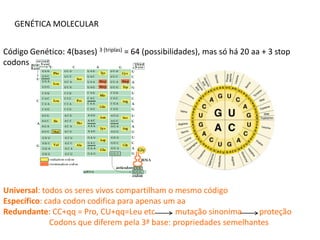 GENÉTICA MOLECULAR


Código Genético: 4(bases) 3 (triplas) = 64 (possibilidades), mas só há 20 aa + 3 stop
codons




Universal: todos os seres vivos compartilham o mesmo código
Específico: cada codon codifica para apenas um aa
Redundante: CC+qq = Pro, CU+qq=Leu etc         mutação sinonima    proteção
             Codons que diferem pela 3ª base: propriedades semelhantes
 