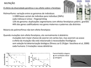 MUTAÇÃO
O efeito da diversidade genética e seu efeito sobre o fenótipo:

Polimorfismo: variação entre os genomas de individuos
          1:1000 bases variam de individuo para individuo (SNPs)
          cada indiviuo é único – fingerprinting
          12% do genoma: duplicações segmentares com efeitos fenotipicos potenc. grandes
          44% dos genes codificadores nos genes maternos e paternos são distintos

Maioria do polimorfimso não tem efeito fenotipico

Quando mutações tem efeito fenotipico, ele normalmente é deletério:
        mutações tem maior chance de ocorrer em certos loci, mas ocorrem ao acaso
        o efeito da mutação não está relacionado à necessidades fisiológicas
        sem seleção há deteriorização biológica (fitness cai 0.1%/ger: Vassilieva et al, 2000)
        cada humano: 3 mutações novas deletérias


                                                      Caenorhabditis elegans:
                                                        em condições ideais
                                                        selvagens
 