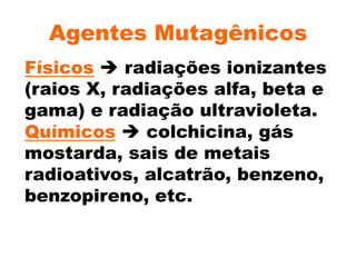 Agentes Mutagênicos
Físicos  radiações ionizantes
(raios X, radiações alfa, beta e
gama) e radiação ultravioleta.
Químicos  colchicina, gás
mostarda, sais de metais
radioativos, alcatrão, benzeno,
benzopireno, etc.
 