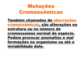 Mutações
Cromossômicas
Também chamadas de aberrações
cromossômicas, são alterações na
estrutura ou no número de
cromossomos normal da espécie.
Podem provocar anomalias e mal
formações no organismo ou até a
inviabilidade dele.
 