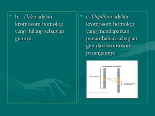 Mutasi | PPT