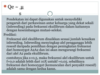 Qe ~ µ

s
Pendekatan ini dapat digunakan untuk menyelidiki
pengaruh dari perkawinan antar keluarga yang dekat sekali
(inbreeding) pada frekuensi ekuilibrum dalam kaitannya
dengan keseimbangan mutasi-seleksi.
Prediksi:
Frekuensi alel ekuilibrum dinaikkan sesuai jumlah kenaikan
inbreeding. Inbreeding menyingkap alel pengganggu lebih
resesif daripada pemilihan dengan peningkatan frekuensi
dari homozygot A2A2 dan ini akan mengurangi frekuensi
dari alel A2 pada ekuilibrum.
contohnya jika s=0,5, maka frekuensi alel ekuilibrum untuk
f=0,0 adalah lebih dari 10X untukf =0,05. sebaliknya
frekuensi dari homozygot (kemunculan dari penyakit resesif)
adalah sama dengan kedua kasus.

 