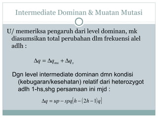 Intermediate Dominan & Muatan Mutasi
U/ memeriksa pengaruh dari level dominan, mk
diasumsikan total perubahan dlm frekuensi alel
adlh :
∆q = ∆qmu + ∆qx

Dgn level intermediate dominan dmn kondisi
(kebugaran/kesehatan) relatif dari heterozygot
adlh 1-hs,shg persamaan ini mjd :
∆q = up − spq[ h − ( 2h − 1) q ]

 