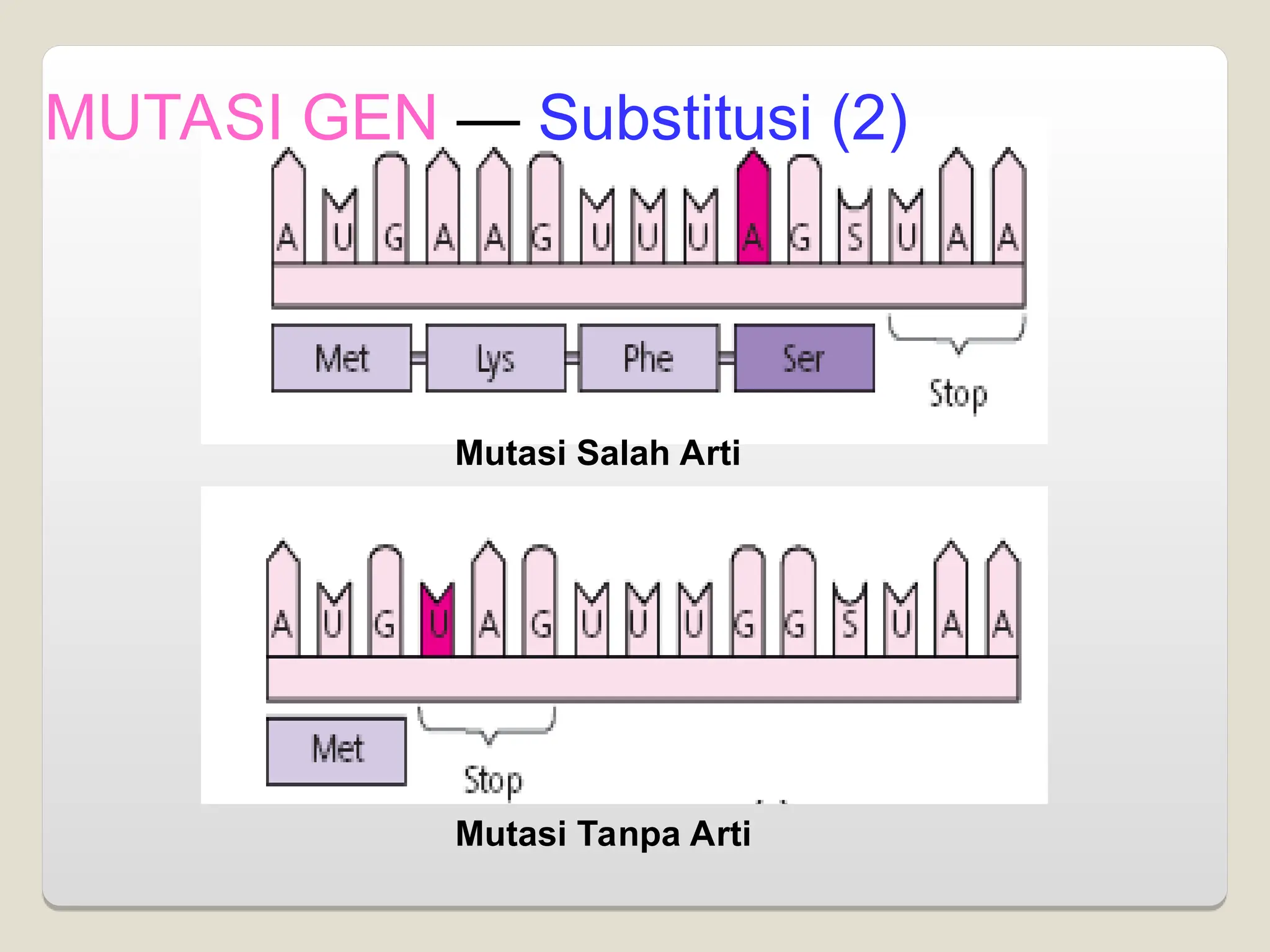 MUTASI GEN — Substitusi (2)
Mutasi Tanpa Arti
Mutasi Salah Arti
 