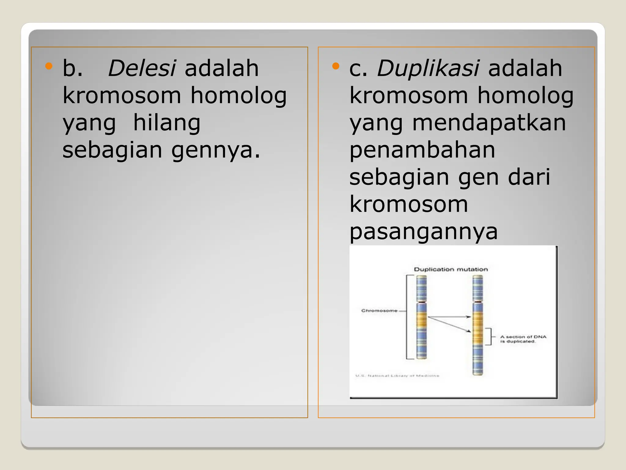  b. Delesi adalah
kromosom homolog
yang hilang
sebagian gennya.
 c. Duplikasi adalah
kromosom homolog
yang mendapatkan
penambahan
sebagian gen dari
kromosom
pasangannya
 