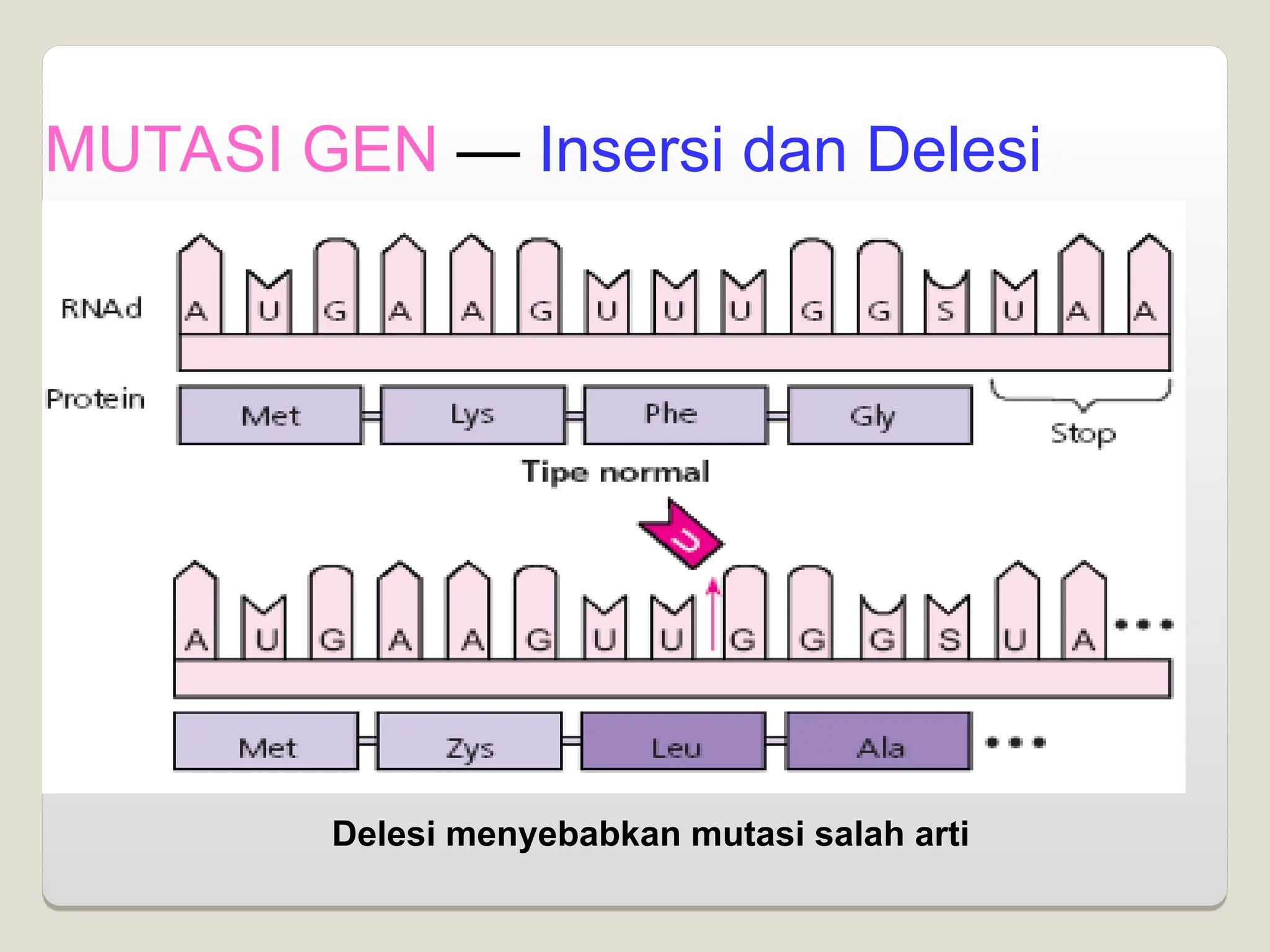 Delesi menyebabkan mutasi salah arti
MUTASI GEN — Insersi dan Delesi
 