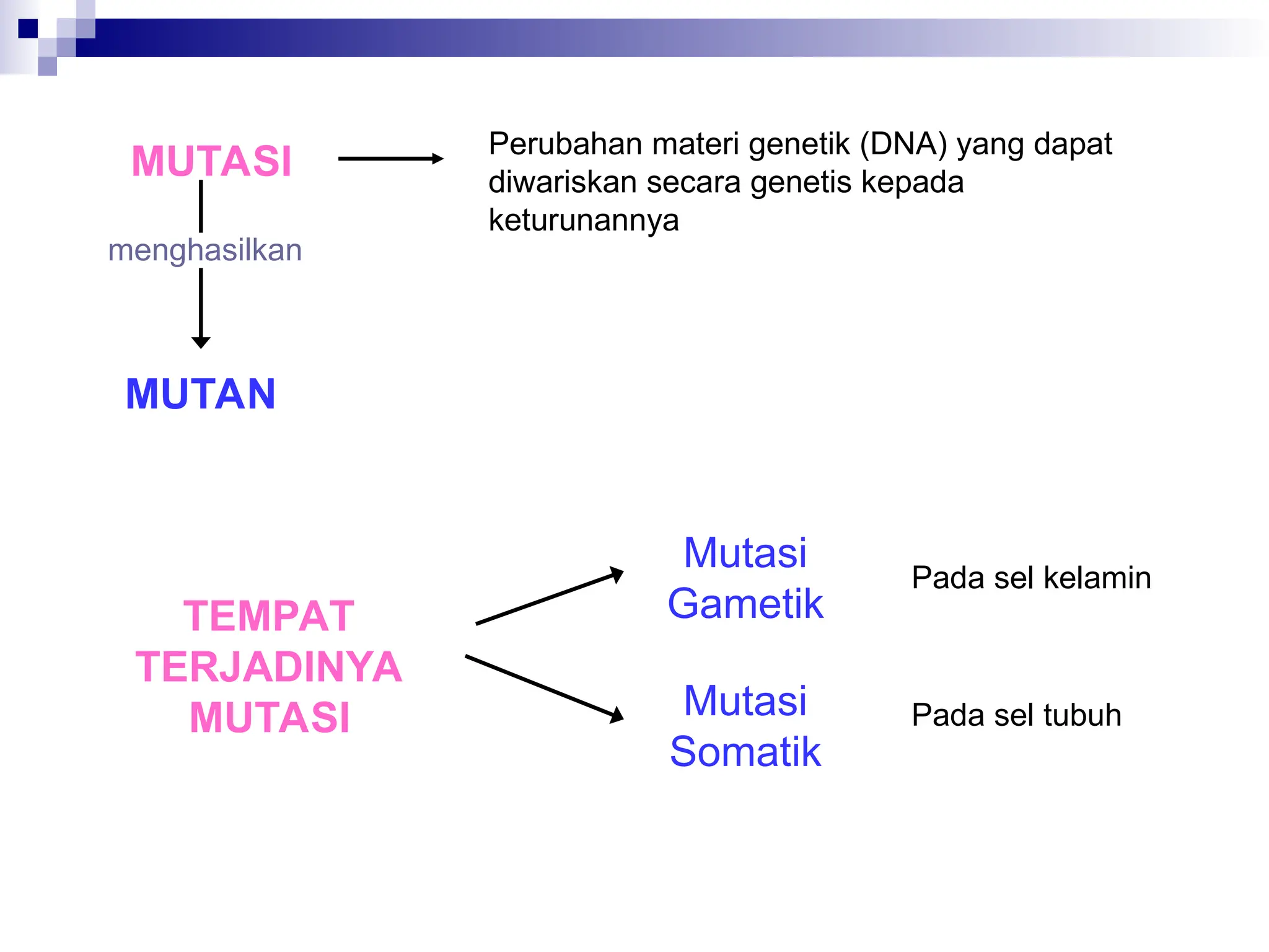 MUTASI
Perubahan materi genetik (DNA) yang dapat
diwariskan secara genetis kepada
keturunannya
MUTAN
TEMPAT
TERJADINYA
MUTASI
Mutasi
Gametik
Mutasi
Somatik
menghasilkan
Pada sel kelamin
Pada sel tubuh
 