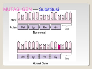 Mutasi | PPT
