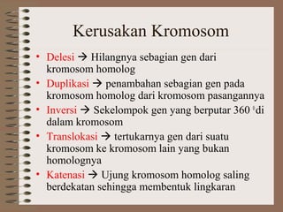 Mutasi | PPT