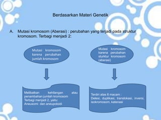 Berdasarkan Materi Genetik
A. Mutasi kromosom (Aberasi) : perubahan yang terjadi pada struktur
kromosom. Terbagi menjadi 2:
Mutasi kromosom
karena perubahan
sturktur kromosom
(aberasi)
Mutasi kromosom
karena perubahan
jumlah kromosom
Melibatkan kehilangan atau
penambahan jumlah kromosom
Terbagi menjadi 2, yaitu:
Aneusomi dan aneupoloidi
Terdiri atas 6 macam :
Delesi, duplikasi, translokasi, inversi,
isokromosom, katenasi
 