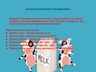 Aneusomi (Perubahan Penggandaan)
Merupakan perubahan jumlah kromosom, yang disebabkan oleh adanya
kegagalan kromosom memisahkan diri dari kromosom homolognya, atau
karena kromosom tidak melekat pada saat meiosis.
Mutasi kromosom pada manusia:
Sindrom Down : trisomik autosom no.21
Sindrom Patau : trisomik autosom no.13/14/15
Sindrom Edward : trisomik autosom no. 16/17/18
Sindrom Kinefelter : trisomik, RK: 22AA + XXY
Sindrom Jacob ( khusus laki-laki), RK : 22AA + XYY
Sindrom Wanita super ( khusus perempuan), RK : 22AA + XXX
 