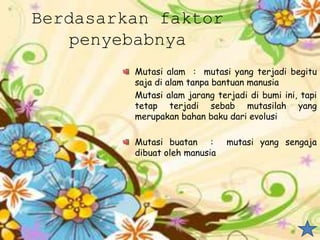 Berdasarkan faktor
penyebabnya
Mutasi alam : mutasi yang terjadi begitu
saja di alam tanpa bantuan manusia
Mutasi alam jarang terjadi di bumi ini, tapi
tetap terjadi sebab mutasilah yang
merupakan bahan baku dari evolusi
Mutasi buatan : mutasi yang sengaja
dibuat oleh manusia
 