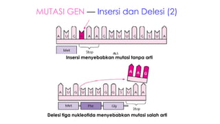 MATERI MUTASI BIOLOGI PADA MAKHLUK HIDUP .pdf