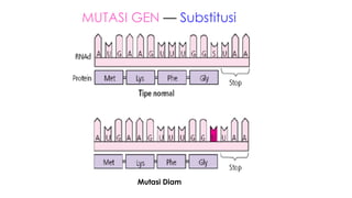 MATERI MUTASI BIOLOGI PADA MAKHLUK HIDUP .pdf