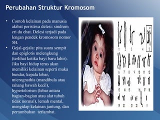 Comprehensive Overview of Genetic Mutations: Types, Causes, and Effects ...