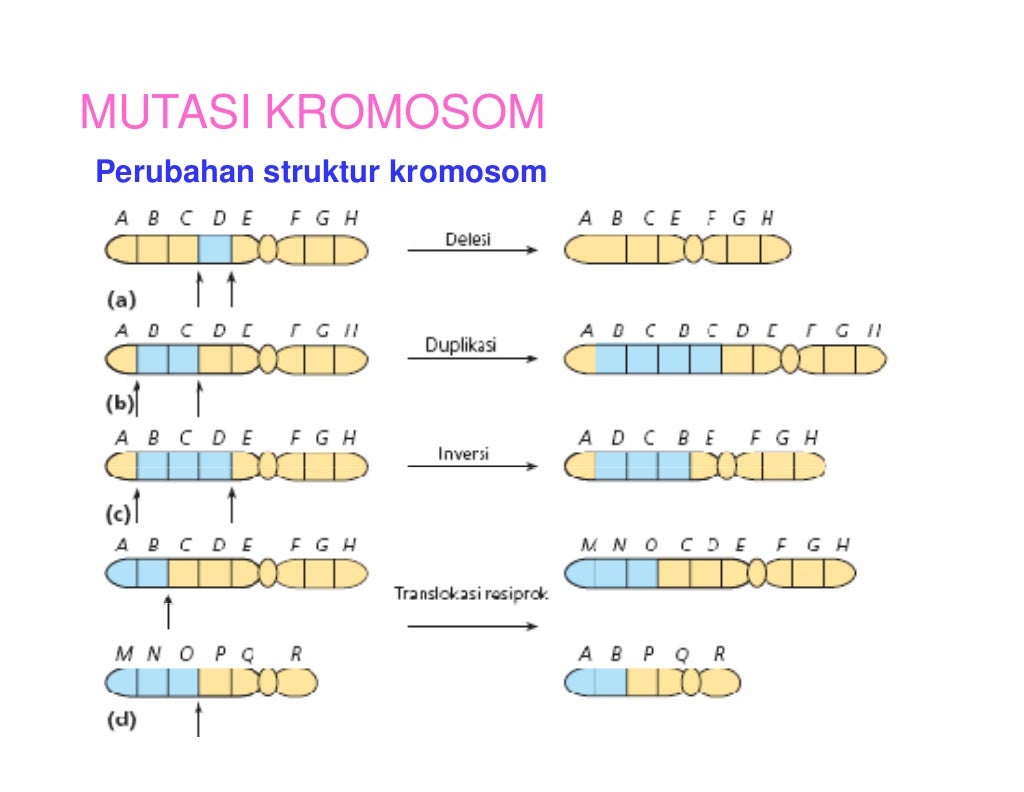 Mutasi Pejabat Eselon II Lombok Timur