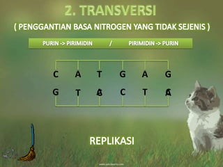 C GT GAA
CTAG T CC A
 