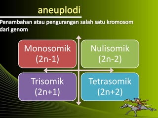 Monosomik
(2n-1)
Nulisomik
(2n-2)
Trisomik
(2n+1)
Tetrasomik
(2n+2)
 