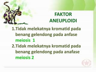 FAKTOR
ANEUPLOIDI
1.Tidak melekatnya kromatid pada
benang gelendong pada anfase
meiosis 1
2.Tidak melekatnya kromatid pada
benang gelendong pada anafase
meiosis 2
 