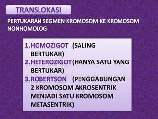 (SALING
BERTUKAR)
(HANYA SATU YANG
BERTUKAR)
(PENGGABUNGAN
2 KROMOSOM AKROSENTRIK
MENJADI SATU KROMOSOM
METASENTRIK)
 