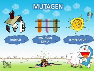 RADIASI
MUTAGEN
KIMIA
TEMPERATUR
 
