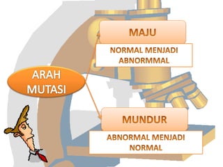 Mutasi genetik