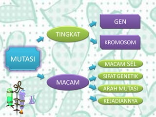 TINGKAT
MACAM
GEN
KROMOSOM
MACAM SEL
SIFATGENETIK
ARAH MUTASI
KEJADIANNYA
MUTASI
 