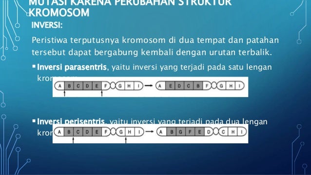 Mutasi Kromosom Materi Kelas Xii Sma Mutasi Kromosom Materi Kelas Xii Sma