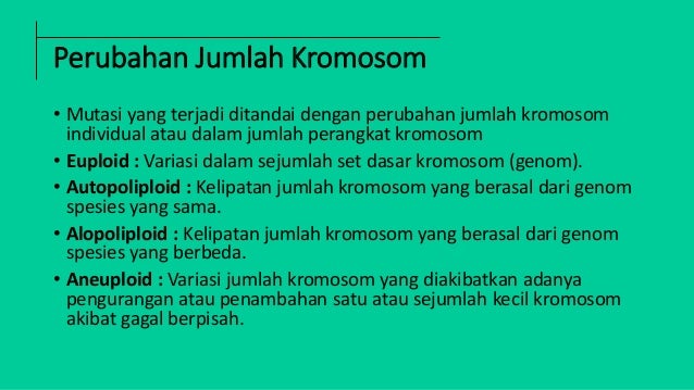 Powerpoint Mutasi dalam mekanisme evolusi manusia biologi SMA