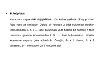 •   B.Anöploidi:

    Kromozom sayısındaki değişikliklerin n’in katları şeklinde olmayıp n’den

    fazla yada az olmasıdır. Diploid bir hücrede 2 adet bulunması gereken

    kromozomdan 3, 4, 5 …. adet bulunması yada haploid bir hücrede 1 tane

    bulunması gereken kromozomdan 2, 3, ….        tane bulunmasıdır. Hücreler

    kromozom sayısına göre adlandırılır. Örneğin, 2n + 1 trizomi, 2n + 2

    tetrazomi, 2n-1 monozomi, 2n-2 nüllüzomi gibi .
 