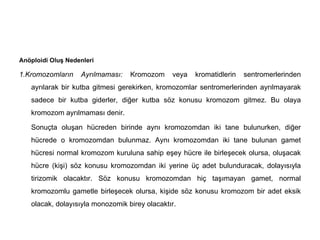 Anöploidi Oluş Nedenleri

1.Kromozomların    Ayrılmaması:   Kromozom     veya   kromatidlerin   sentromerlerinden
   ayrılarak bir kutba gitmesi gerekirken, kromozomlar sentromerlerinden ayrılmayarak
   sadece bir kutba giderler, diğer kutba söz konusu kromozom gitmez. Bu olaya
   kromozom ayrılmaması denir.

   Sonuçta oluşan hücreden birinde aynı kromozomdan iki tane bulunurken, diğer
   hücrede o kromozomdan bulunmaz. Aynı kromozomdan iki tane bulunan gamet
   hücresi normal kromozom kuruluna sahip eşey hücre ile birleşecek olursa, oluşacak
   hücre (kişi) söz konusu kromozomdan iki yerine üç adet bulunduracak, dolayısıyla
   tirizomik olacaktır. Söz konusu kromozomdan hiç taşımayan gamet, normal
   kromozomlu gametle birleşecek olursa, kişide söz konusu kromozom bir adet eksik
   olacak, dolayısıyla monozomik birey olacaktır.
 
