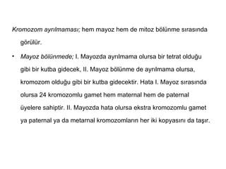 Kromozom ayrılmaması; hem mayoz hem de mitoz bölünme sırasında

    görülür.

•   Mayoz bölünmede; I. Mayozda ayrılmama olursa bir tetrat olduğu

    gibi bir kutba gidecek, II. Mayoz bölünme de ayrılmama olursa,

    kromozom olduğu gibi bir kutba gidecektir. Hata I. Mayoz sırasında

    olursa 24 kromozomlu gamet hem maternal hem de paternal

    üyelere sahiptir. II. Mayozda hata olursa ekstra kromozomlu gamet

    ya paternal ya da metarnal kromozomların her iki kopyasını da taşır.
 