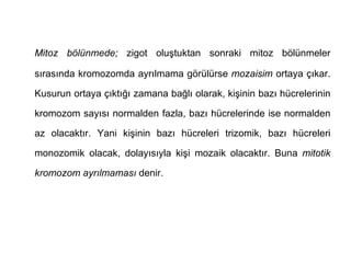 Mitoz bölünmede; zigot oluştuktan sonraki mitoz bölünmeler

sırasında kromozomda ayrılmama görülürse mozaisim ortaya çıkar.

Kusurun ortaya çıktığı zamana bağlı olarak, kişinin bazı hücrelerinin

kromozom sayısı normalden fazla, bazı hücrelerinde ise normalden

az olacaktır. Yani kişinin bazı hücreleri trizomik, bazı hücreleri

monozomik olacak, dolayısıyla kişi mozaik olacaktır. Buna mitotik

kromozom ayrılmaması denir.
 