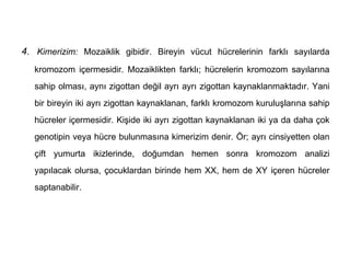 4. Kimerizim: Mozaiklik gibidir. Bireyin vücut hücrelerinin farklı sayılarda
   kromozom içermesidir. Mozaiklikten farklı; hücrelerin kromozom sayılarına
   sahip olması, aynı zigottan değil ayrı ayrı zigottan kaynaklanmaktadır. Yani
   bir bireyin iki ayrı zigottan kaynaklanan, farklı kromozom kuruluşlarına sahip
   hücreler içermesidir. Kişide iki ayrı zigottan kaynaklanan iki ya da daha çok
   genotipin veya hücre bulunmasına kimerizim denir. Ör; ayrı cinsiyetten olan
   çift yumurta ikizlerinde, doğumdan hemen sonra kromozom analizi
   yapılacak olursa, çocuklardan birinde hem XX, hem de XY içeren hücreler
   saptanabilir.
 