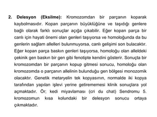 2.    Delesyon      (Eksilme):   Kromozomdan      bir   parçanın    koparak
     kaybolmasıdır. Kopan parçanın büyüklüğüne ve taşıdığı genlere
     bağlı olarak farklı sonuçlar açığa çıkabilir. Eğer kopan parça bir
     canlı için hayati önemi olan genleri taşıyorsa ve homoloğunda da bu
     genlerin sağlam allelleri bulunmuyorsa, canlı gelişimi son bulacaktır.
     Eğer kopan parça baskın genleri taşıyorsa, homoloğu olan alleldeki
     çekinik gen baskın bir gen gibi fenotipte kendini gösterir. Sonuçta bir
     kromozomdan bir parçanın kopup gitmesi sonucu, homoloğu olan
     kromozomda o parçanın allelinin bulunduğu gen bölgesi monozomik
     olacaktır. Genetik metaryelin tek kopyasının, normalde iki kopya
     tarafından yapılan işlevi yerine getirememesi klinik sonuçlara yol
     açmaktadır. Ör; kedi miyavlaması (cri du chat) Sendromu 5.
     kromozomun      kısa   kolundaki    bir   delesyon    sonucu    ortaya
     çıkmaktadır.
 