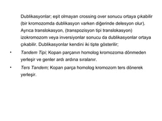 Dublikasyonlar; eşit olmayan crossing over sonucu ortaya çıkabilir
    (bir kromozomda dublikasyon varken diğerinde delesyon olur).
    Ayrıca translokasyon, (transpozisyon tipi translokasyon)
    izokromozom veya inversiyonlar sonucu da dublikasyonlar ortaya
    çıkabilir. Dublikasyonlar kendini iki tipte gösterilir;
•   Tandem Tipi; Kopan parçanın homolog kromozoma dönmeden
    yerleşir ve genler ardı ardına sıralanır.
•   Ters Tandem; Kopan parça homolog kromozom ters dönerek
    yerleşir.
 