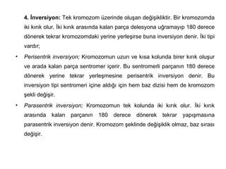 4. İnversiyon: Tek kromozom üzerinde oluşan değişikliktir. Bir kromozomda
    iki kırık olur. İki kırık arasında kalan parça delesyona uğramayıp 180 derece
    dönerek tekrar kromozomdaki yerine yerleşirse buna inversiyon denir. İki tipi
    vardır;
•   Perisentrik inversiyon; Kromozomun uzun ve kısa kolunda birer kırık oluşur
    ve arada kalan parça sentromer içerir. Bu sentromerli parçanın 180 derece
    dönerek yerine tekrar yerleşmesine perisentrik inversiyon denir. Bu
    inversiyon tipi sentromeri içine aldığı için hem baz dizisi hem de kromozom
    şekli değişir.
•   Parasentrik inversiyon; Kromozomun tek kolunda iki kırık olur. İki kırık
    arasında    kalan   parçanın   180   derece   dönerek   tekrar   yapışmasına
    parasentrik inversiyon denir. Kromozom şeklinde değişiklik olmaz, baz sırası
    değişir.
 
